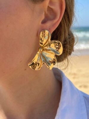 B.O Papillon solaire